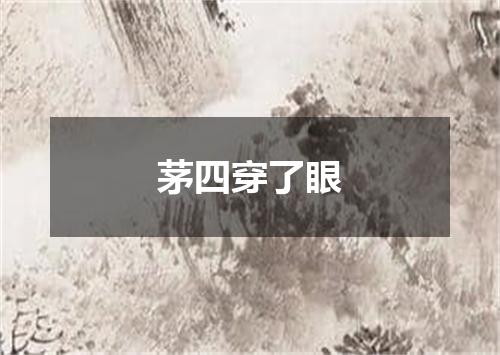 茅四穿了眼