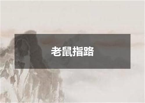 老鼠指路