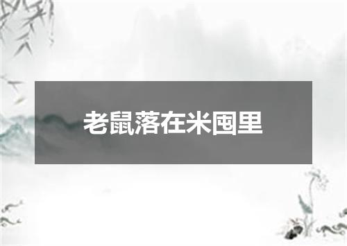 老鼠落在米囤里