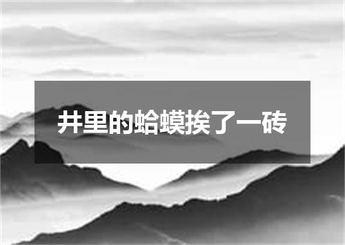 井里的蛤蟆挨了一砖