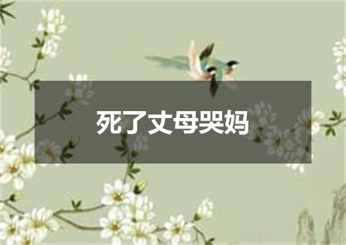死了丈母哭妈