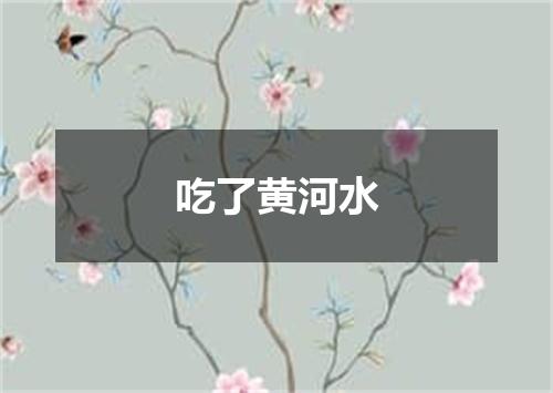 吃了黄河水