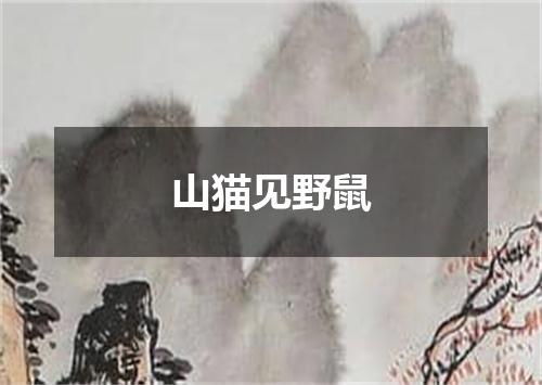 山猫见野鼠