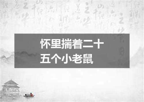怀里揣着二十五个小老鼠