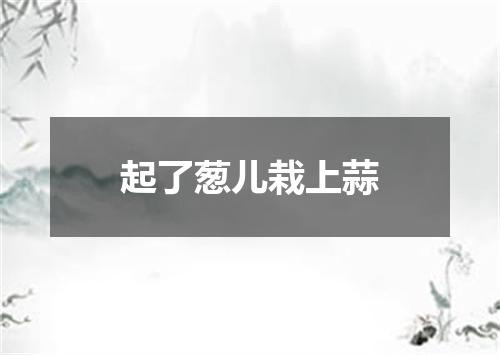 起了葱儿栽上蒜