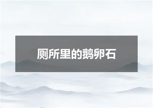 厕所里的鹅卵石