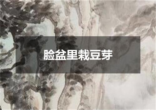 脸盆里栽豆芽