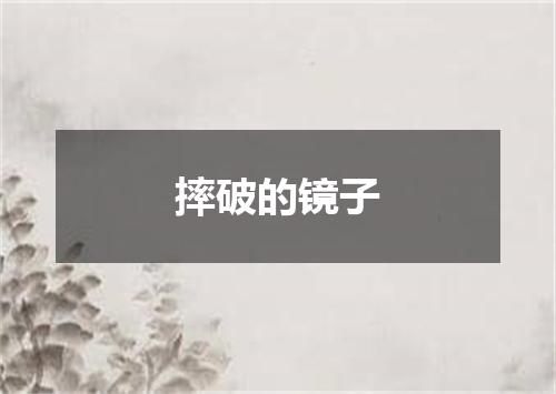 摔破的镜子