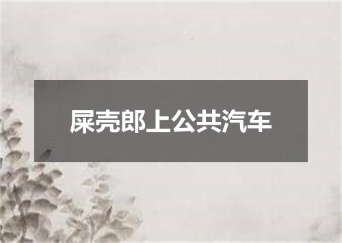 屎壳郎上公共汽车
