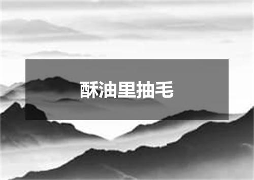 酥油里抽毛