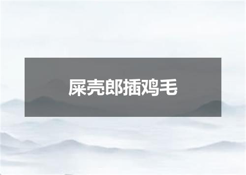 屎壳郎插鸡毛