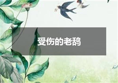 受伤的老鸹