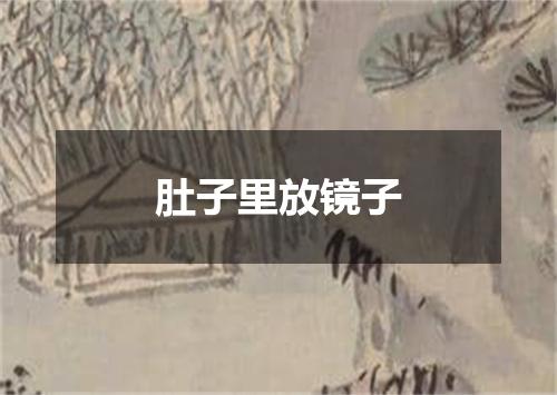 肚子里放镜子