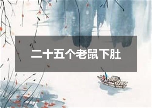 二十五个老鼠下肚