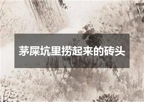 茅屎坑里捞起来的砖头