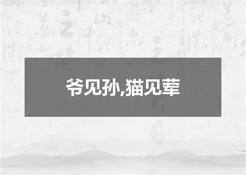 爷见孙,猫见荤