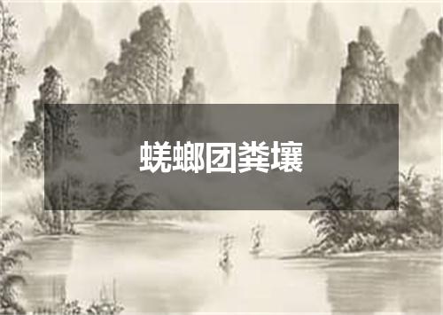 蜣螂团粪壤