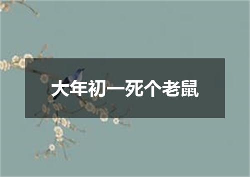 大年初一死个老鼠