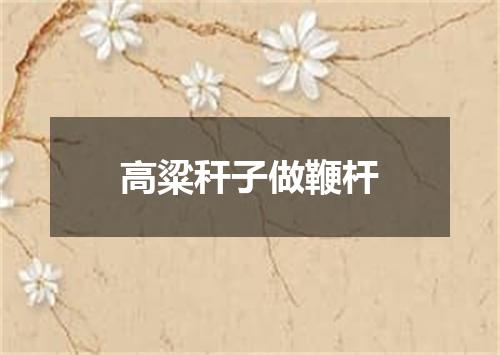 高粱秆子做鞭杆
