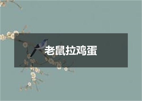 老鼠拉鸡蛋