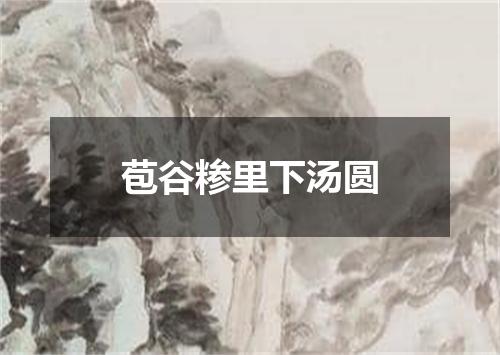 苞谷糁里下汤圆