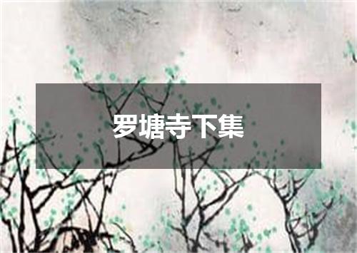 罗塘寺下集