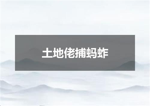 土地佬捕蚂蚱