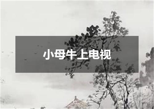 小母牛上电视