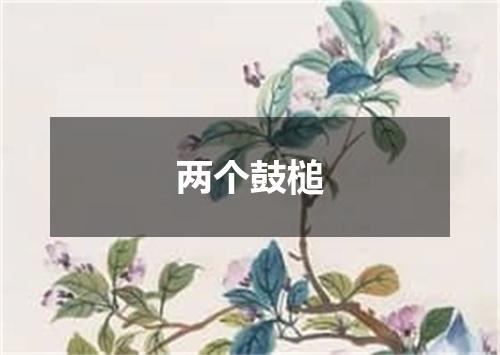 两个鼓槌