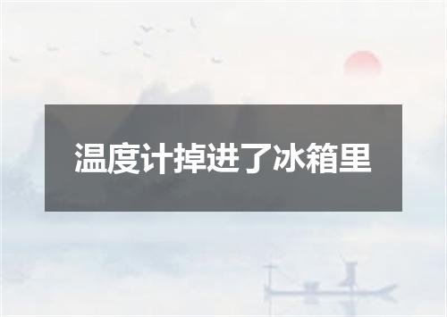 温度计掉进了冰箱里