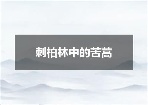 刺柏林中的苦蒿