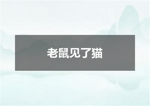 老鼠见了猫