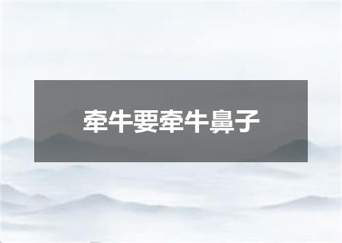 牵牛要牵牛鼻子