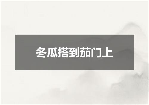 冬瓜搭到茄门上