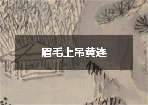 眉毛上吊黄连