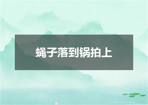 蝇子落到锅拍上