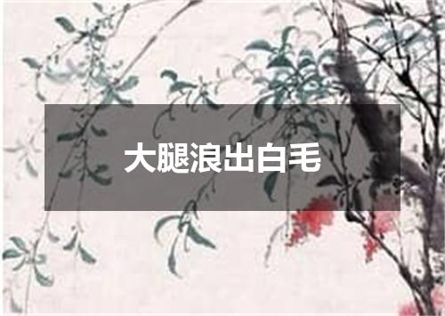 大腿浪出白毛
