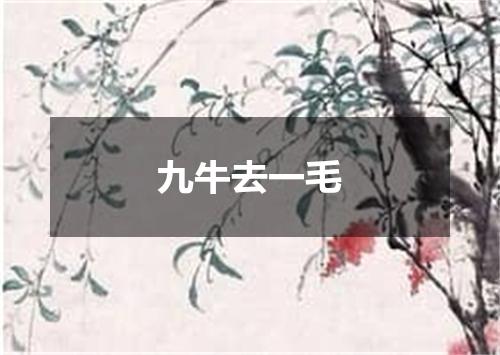 九牛去一毛