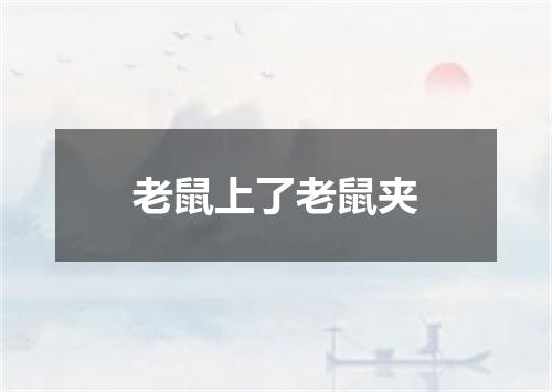 老鼠上了老鼠夹