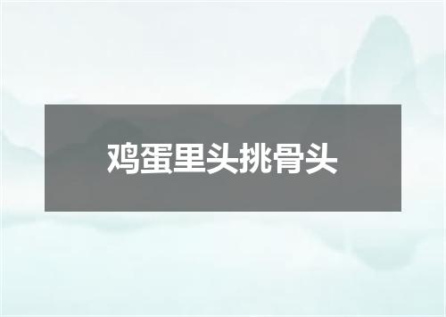 鸡蛋里头挑骨头