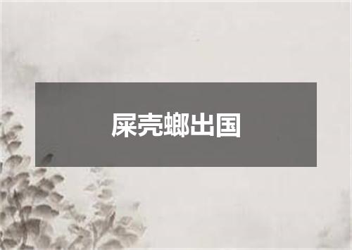 屎壳螂出国