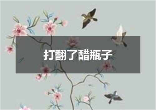 打翻了醋瓶子