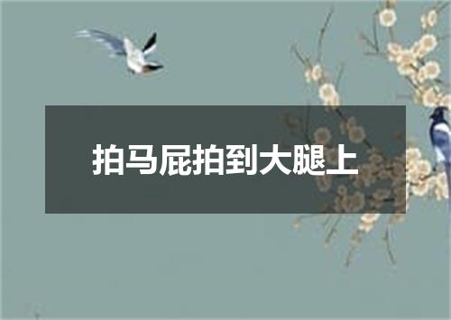 拍马屁拍到大腿上