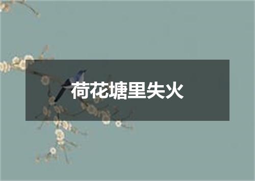 荷花塘里失火