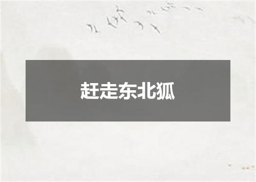 赶走东北狐
