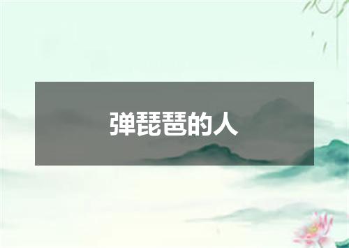 弹琵琶的人