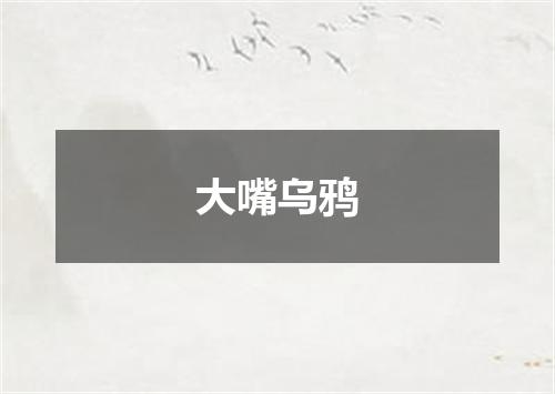 大嘴乌鸦