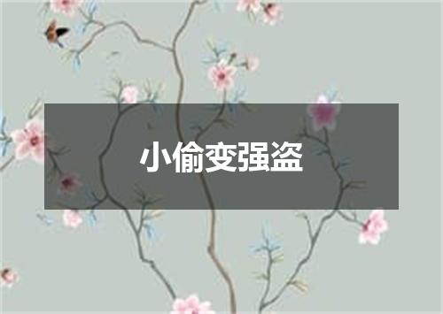 小偷变强盗