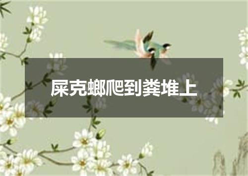 屎克螂爬到粪堆上