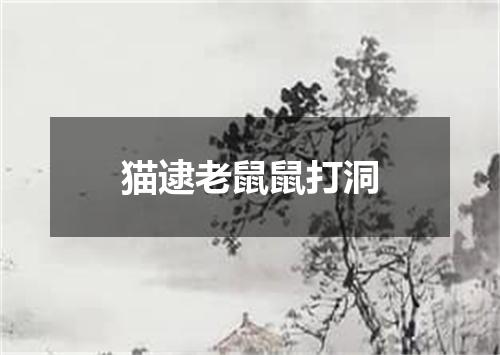 猫逮老鼠鼠打洞